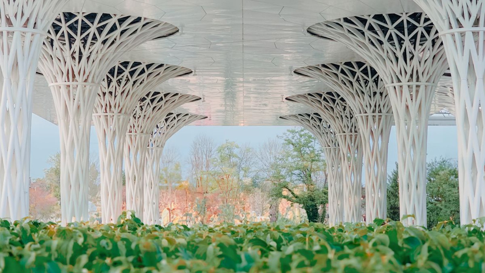 È stato creato un giardino di quasi 300 m² lungo l'imponente edificio (© Alek Małchowski). È stato creato un giardino di quasi 300 m² lungo l'imponente edificio (© Alek Małchowski).